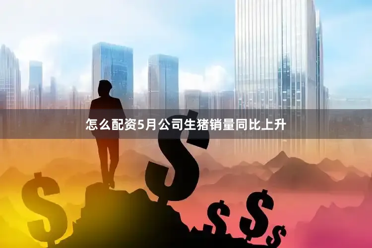 怎么配资5月公司生猪销量同比上升