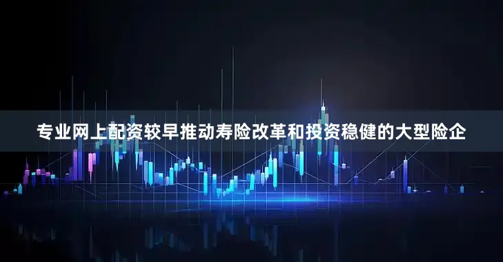专业网上配资较早推动寿险改革和投资稳健的大型险企