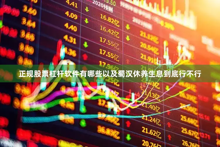 正规股票杠杆软件有哪些以及蜀汉休养生息到底行不行