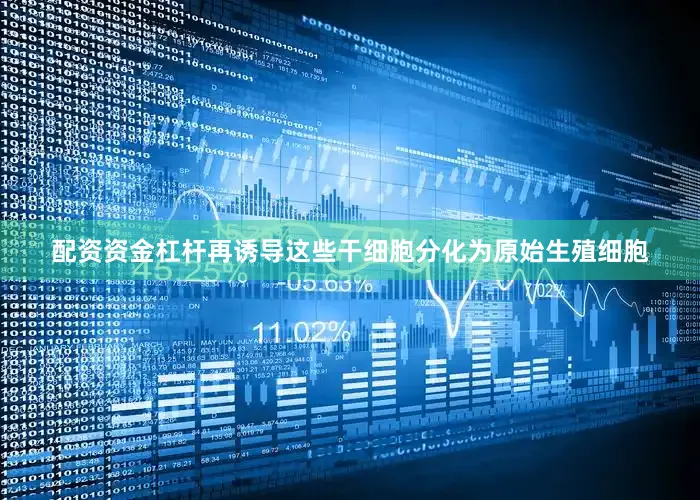 配资资金杠杆再诱导这些干细胞分化为原始生殖细胞