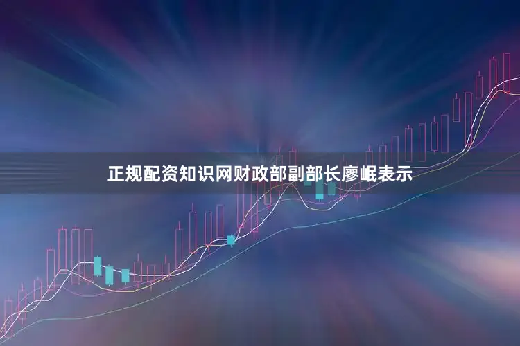 正规配资知识网　　财政部副部长廖岷表示