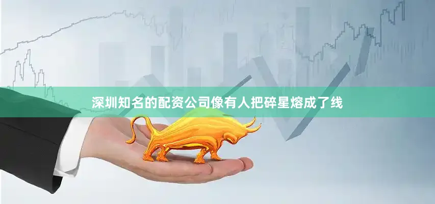 深圳知名的配资公司像有人把碎星熔成了线