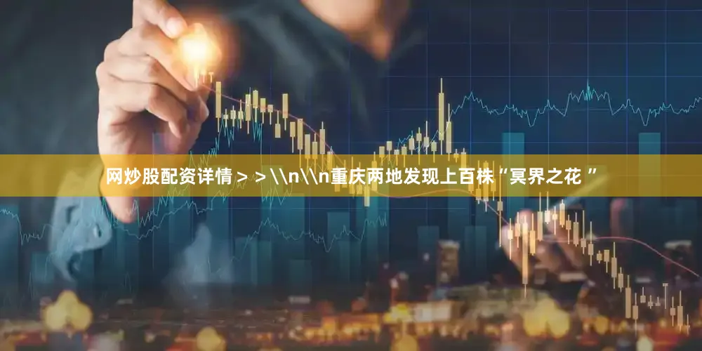 网炒股配资详情＞＞\n\n重庆两地发现上百株“冥界之花 ”