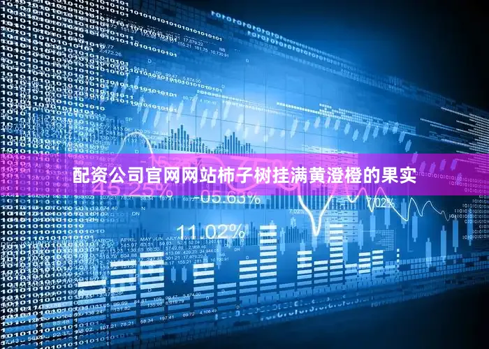 配资公司官网网站柿子树挂满黄澄橙的果实