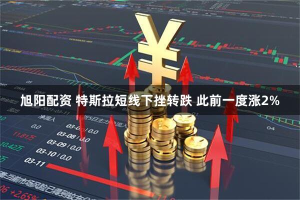 旭阳配资 特斯拉短线下挫转跌 此前一度涨2%