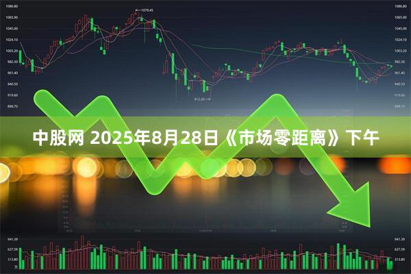 中股网 2025年8月28日《市场零距离》下午